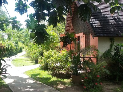 Firefly Beach Cottages And Suites Negril