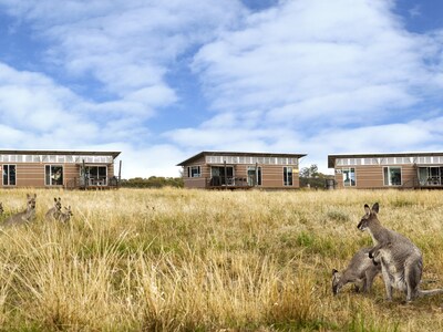 Savannah Cabins Near Taronga Western Plains Zoo Dubbo