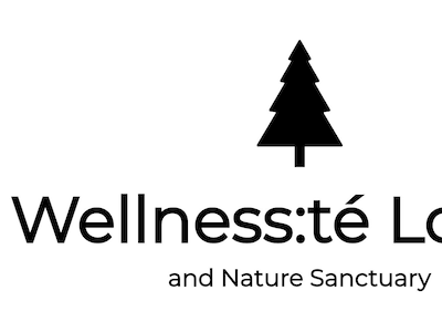 Wellnesste Lodge And Cabin Rentals Taberg