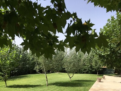 Villa In The Valley In Oulad Khallouf Ouled Khellouf