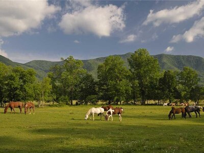 Smoky Mountain Mist Four Bedroom Cabin Chalet Village