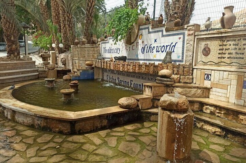 Tour to Elisha Spring in Jericho