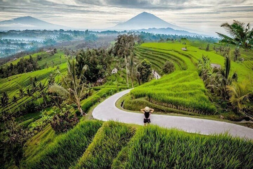 Full-Day Private North Bali Tour with Free WiFi