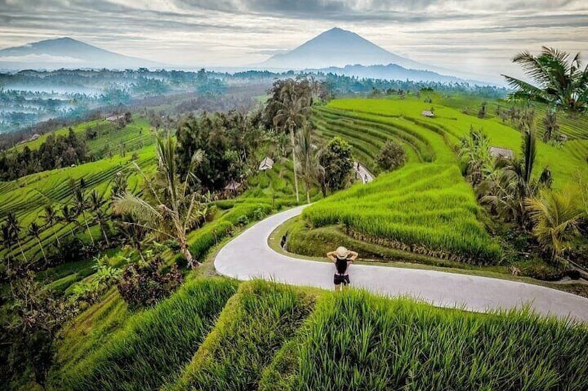 Full-Day Private North Bali Tour with Free WiFi