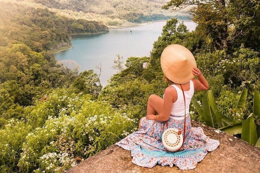 Full-Day Private North Bali Tour with Free WiFi