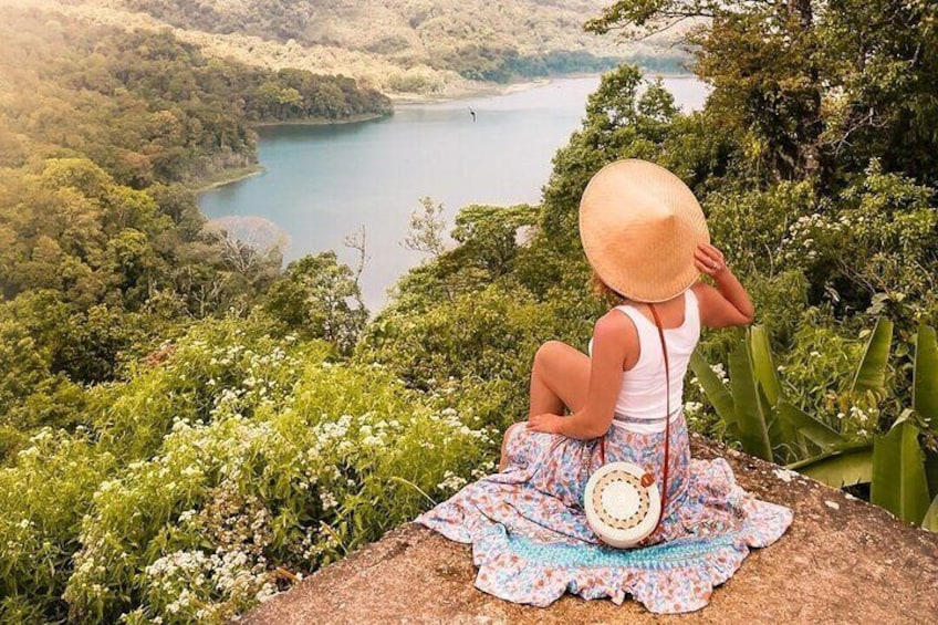 Full-Day Private North Bali Tour with Free WiFi