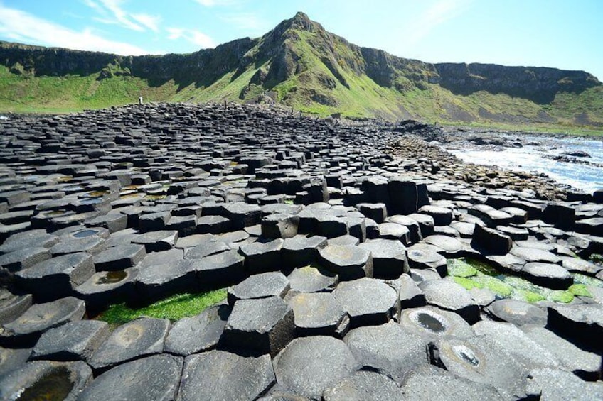 Guided Day Tour: Giant's Causeway from Belfast