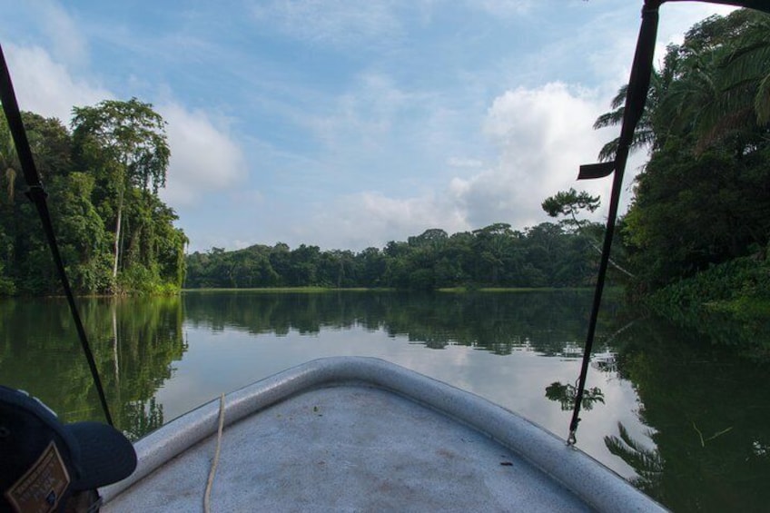 Gatun Lake