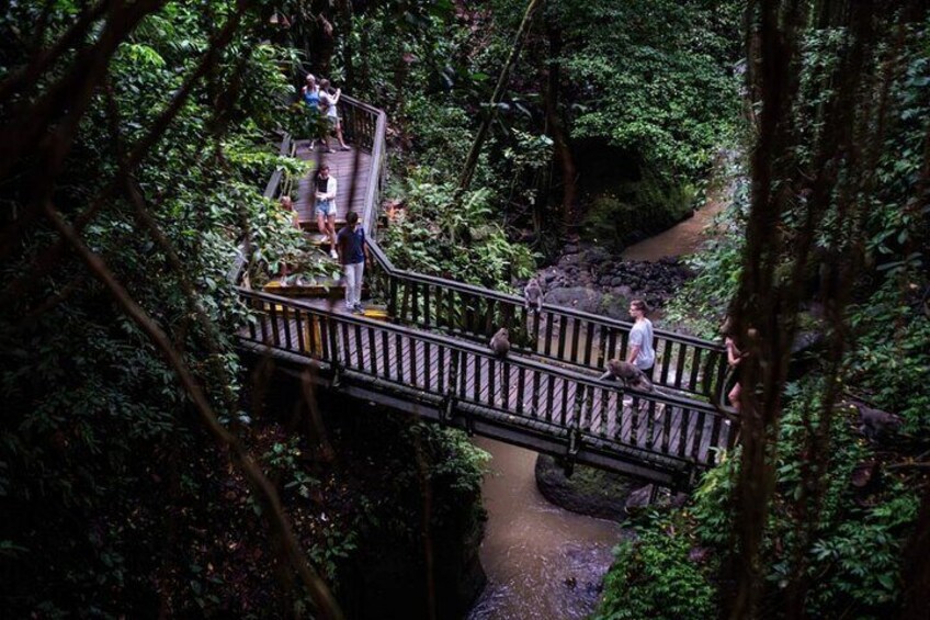 Bali ATV Quad Adventure - Ubud Monkey Forest and Waterfall