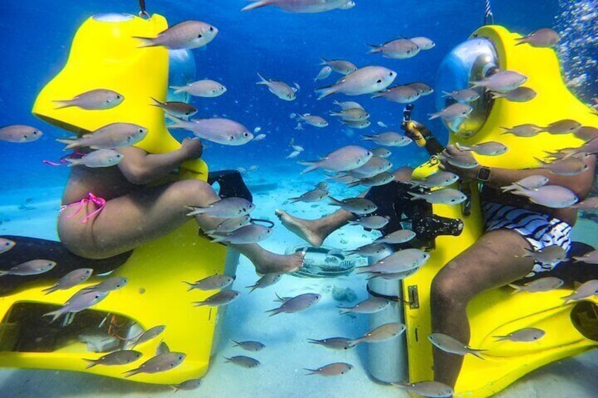 Aquafari Tour in Curaçao
