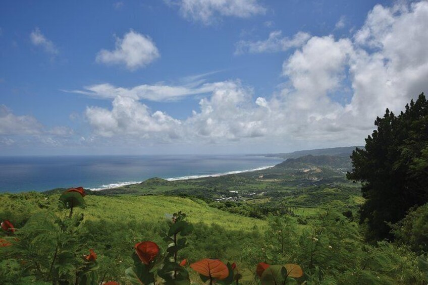 The Destination And View From Cherry Tree Hill