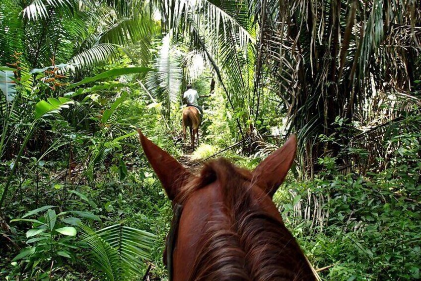 Holbox Horseback Riding in Nature Experience