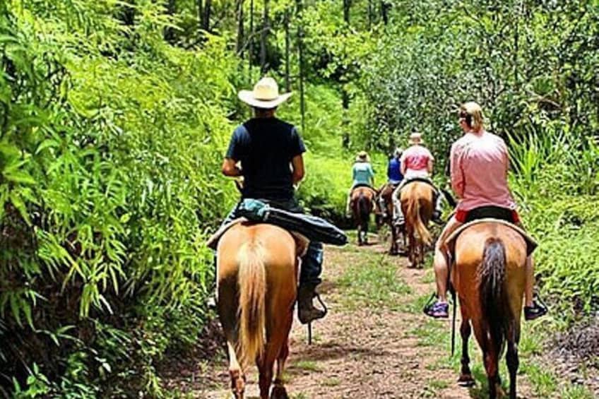 Holbox Horseback Riding in Nature Experience