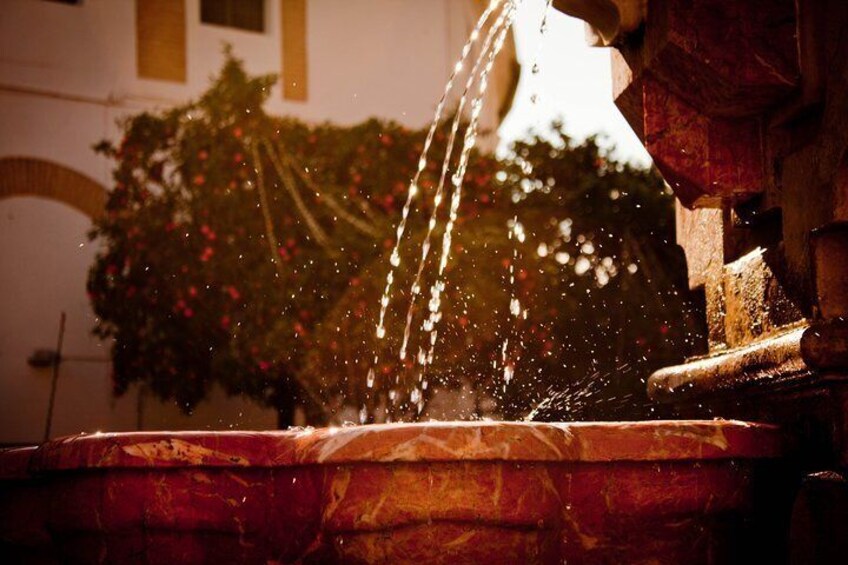 The Real Gems of Seville. Private Tour