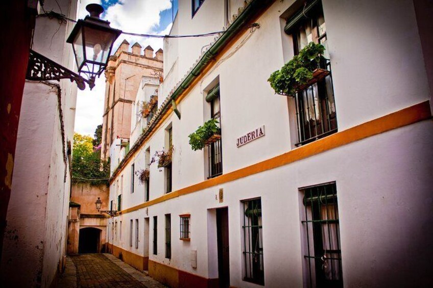 The Real Gems of Seville. Private Tour
