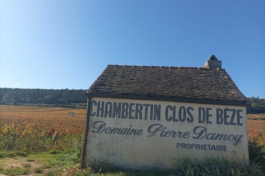 Dijon Wine Tour - Wine tasting included - Professional guide !