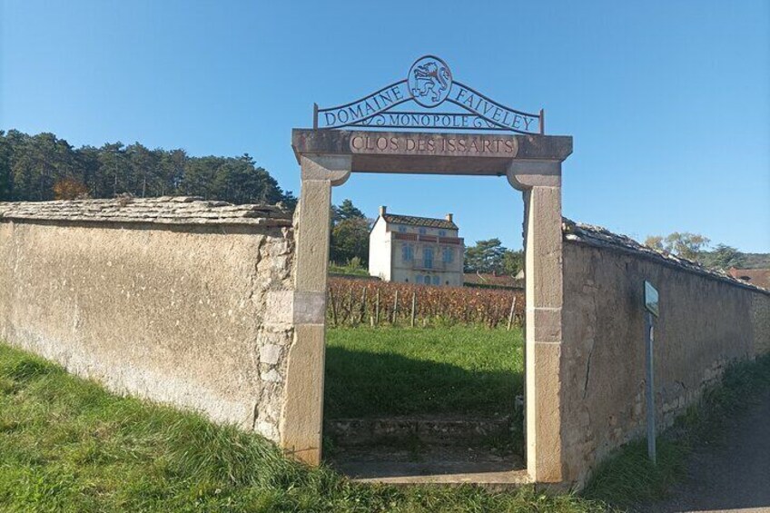 Dijon Wine Tour - Wine tasting included - Professional guide !