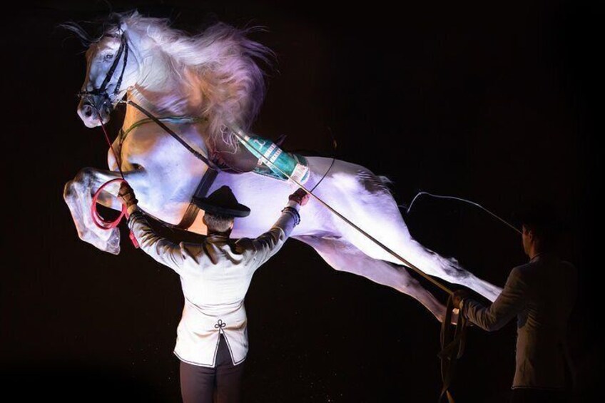 Horse and Flamenco Show in Torremolinos