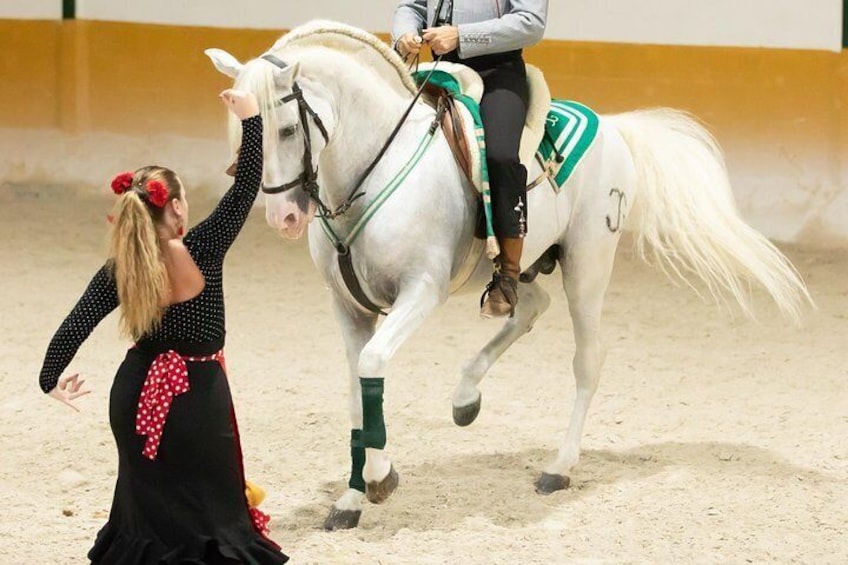 Horse and Flamenco Show in Malaga