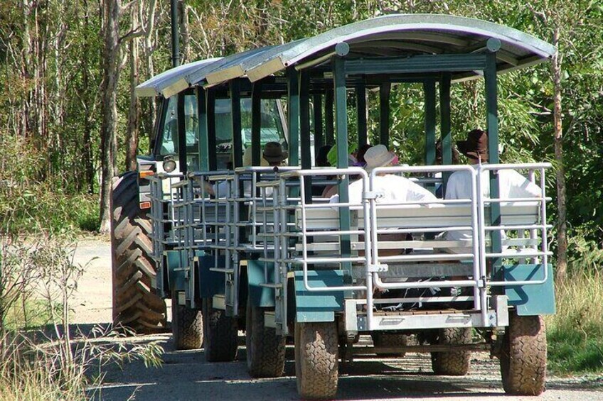 Wagon Train - Wetlands Tour