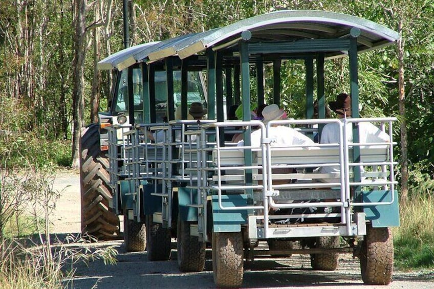 Wagon Train - Wetlands Tour