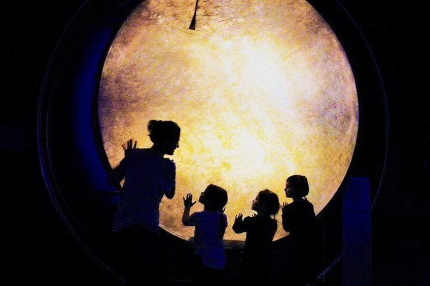 Touching permitted - play the Giant Drum!