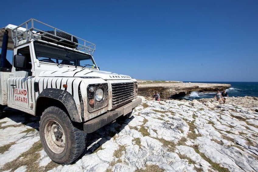 Island Safari 4x4 Discovery Tour from St John's