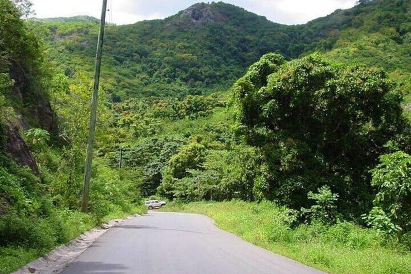 Island Safari 4x4 Discovery Tour from St John's