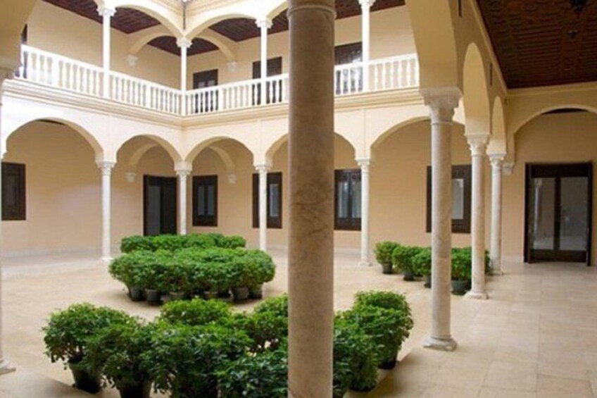 Málaga Picasso Museum Private Guided Tour