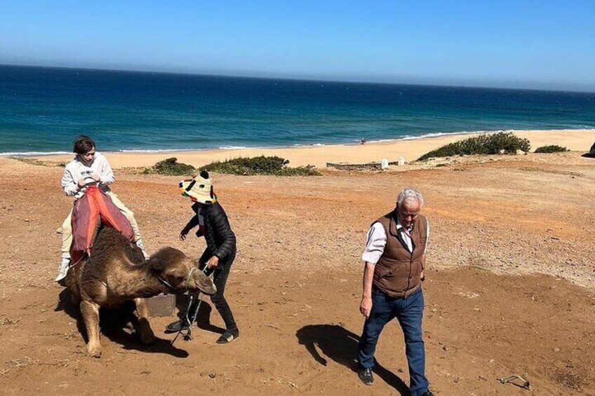 Morocco:Tangier Private Tour from Malaga Province or Tarifa Port 