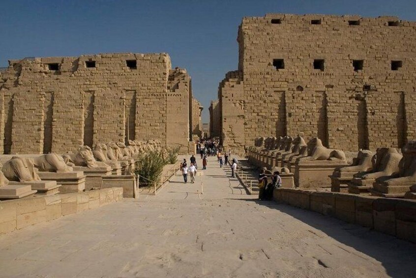 A private day trip to luxor from marsa alam with an Egyptologist