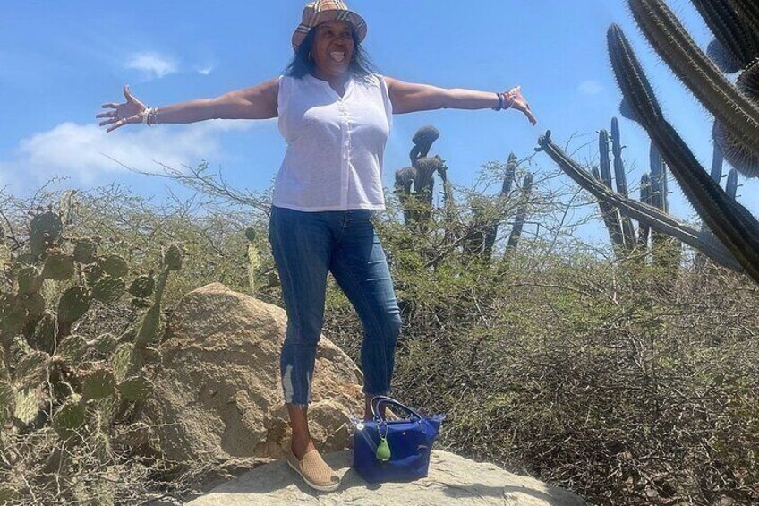 Customized Aruba Island Private Tour for All Ages