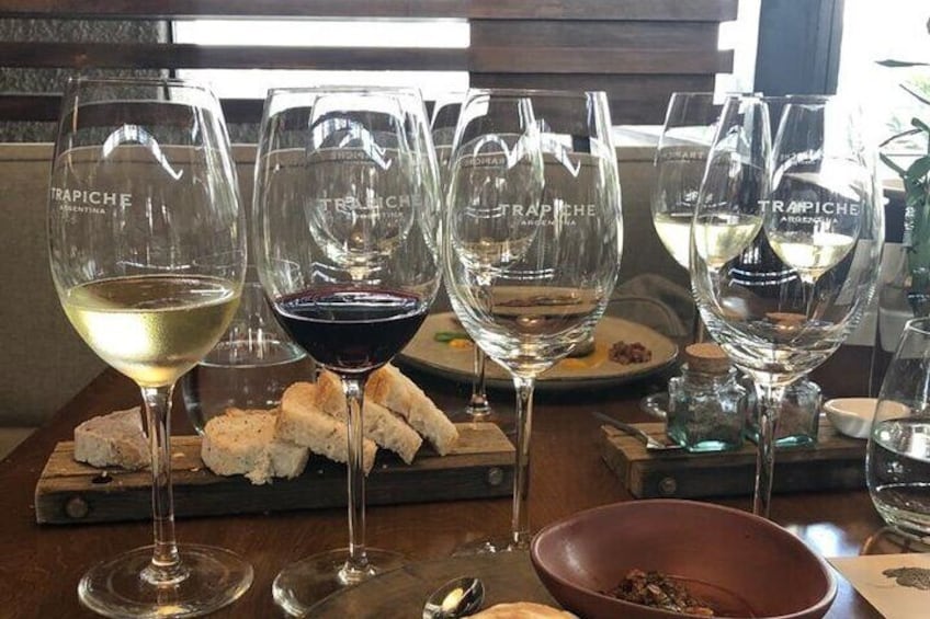 Wine Tour with Lunch from Mendoza