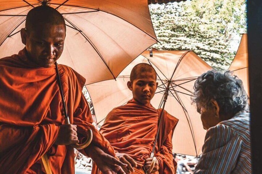 Full day group tour,bamboo train,bat cave, small villages,snacks 