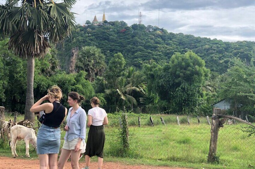 Full day group tour,bamboo train,bat cave, small villages,snacks 