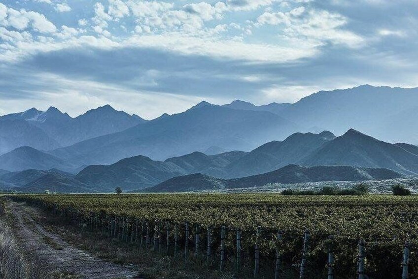 Amazing mountain views 