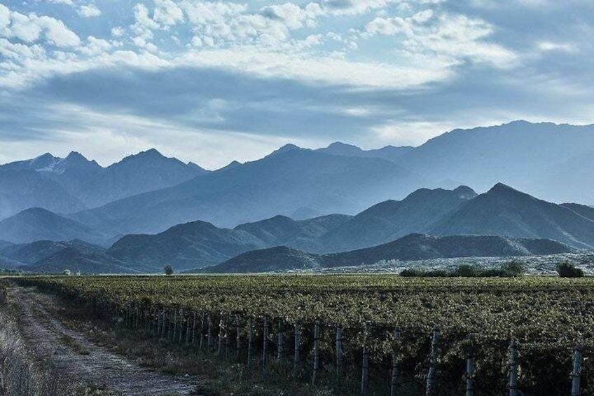Amazing mountain views