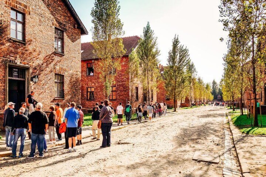 Visitors group in Auschwitz