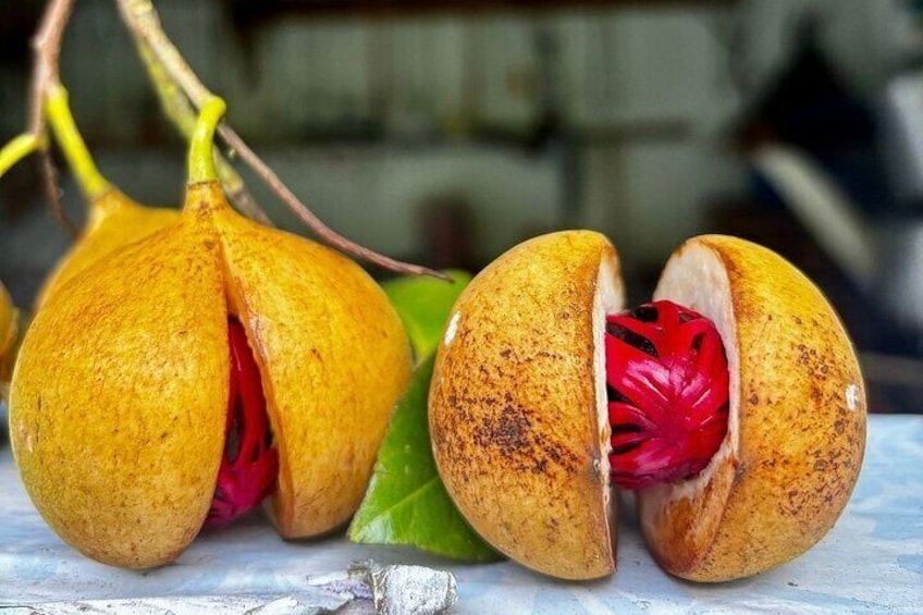 Full-Day Tour: Concord Waterfall, Chocolate Factory, Rum Distillery, Grand Etang