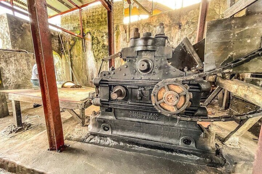 Full-Day Tour: Concord Waterfall, Chocolate Factory, Rum Distillery, Grand Etang