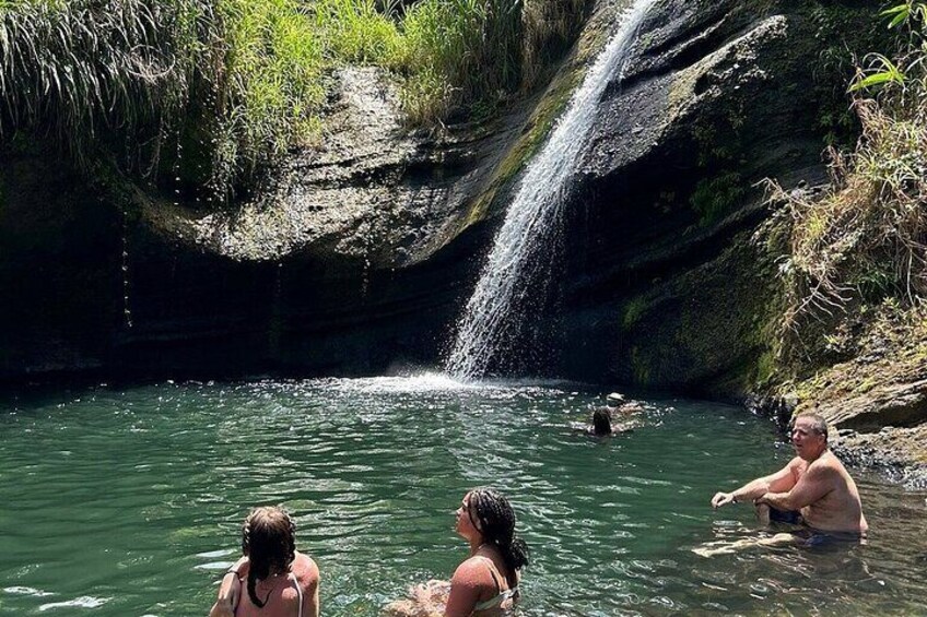 Full-Day Tour: Concord Waterfall, Chocolate Factory, Rum Distillery, Grand Etang