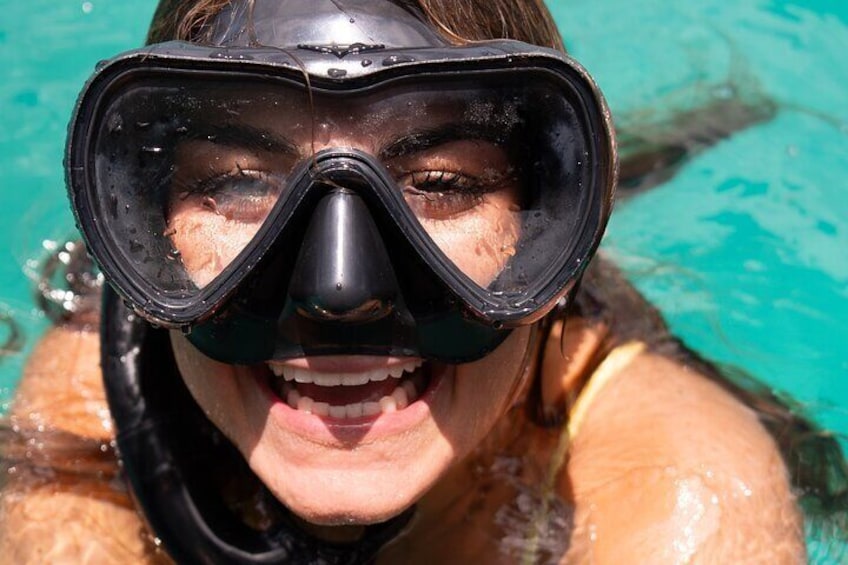 Where the sea life is.