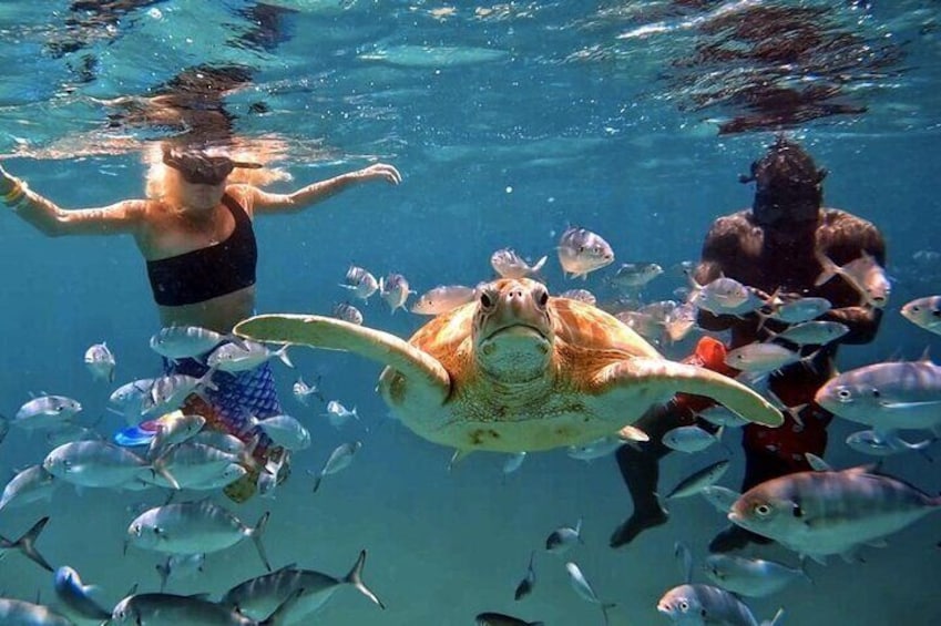 Thalassophile – a person who loves the sea or ocean