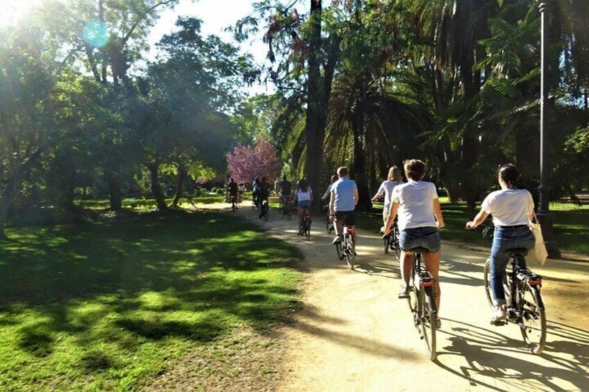 Seville Electric Bike Small Group Tour