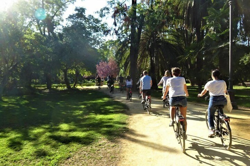 Seville Electric Bike Small Group Tour