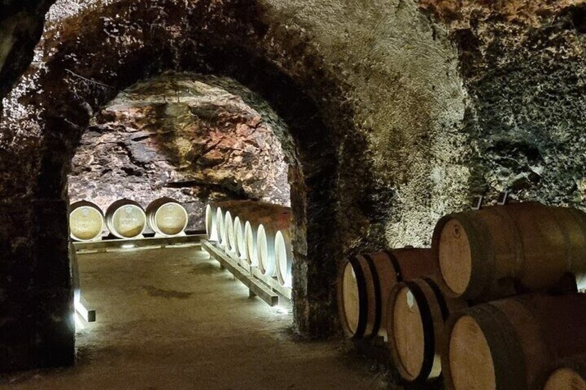 Madrid Cellars Tours