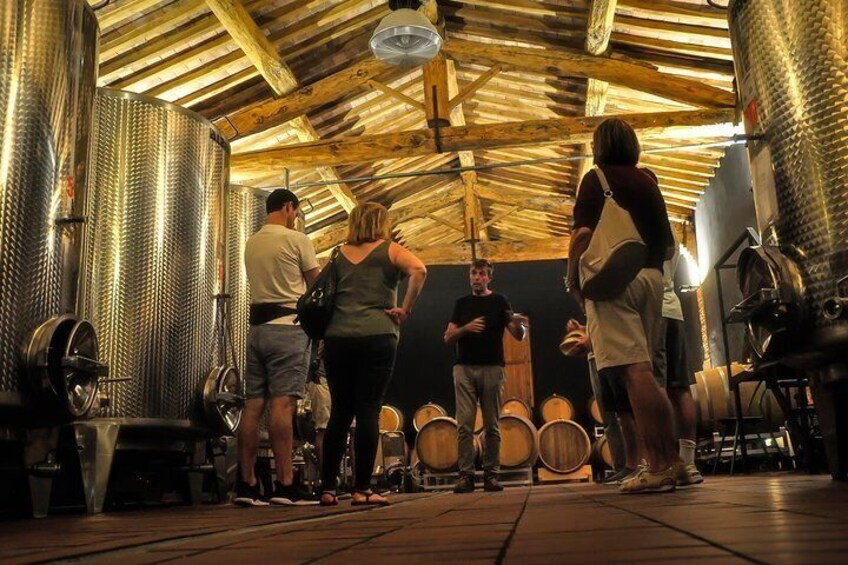 In the cellar we will take into consideration the basic concepts for a quality organic wine making...
