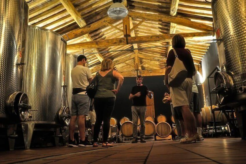 In the cellar we will take into consideration the basic concepts for a quality organic wine making...