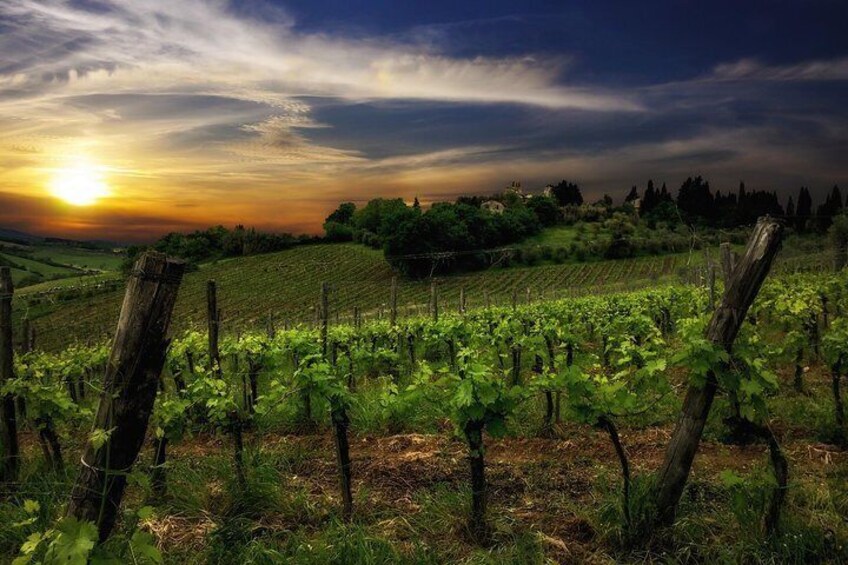 Organic farming since 2000