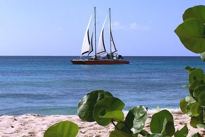 Barbados Catamaran Snorkeling Cruise